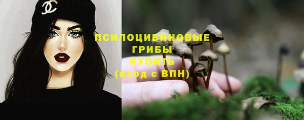 мяу мяу мука Баксан