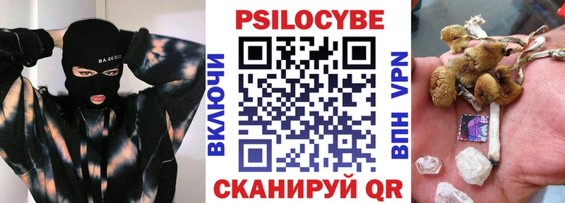 цена наркотик  Вуктыл  блэк спрут как войти  Галлюциногенные грибы Psilocybe 